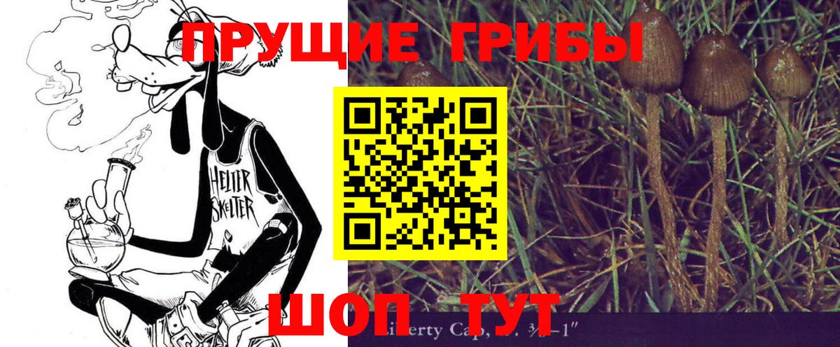 Галлюциногенные грибы Psilocybe  Псилоцибиновые грибы MAGIC MUSHROOMS  Вход с VPN  Миасс 